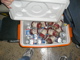 P1010007.JPG